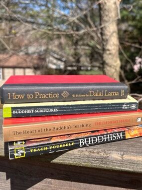 Buddhism Book Bundle, gently used books by Dalai Lama, Thich Nhat Hanh etc.